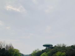 -中国湿地博物馆