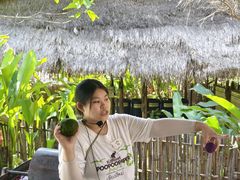 -大象粑粑造纸公园