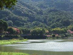 -风云岭森林公园