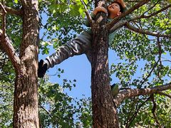 -大岭沟猕猴桃谷风景区