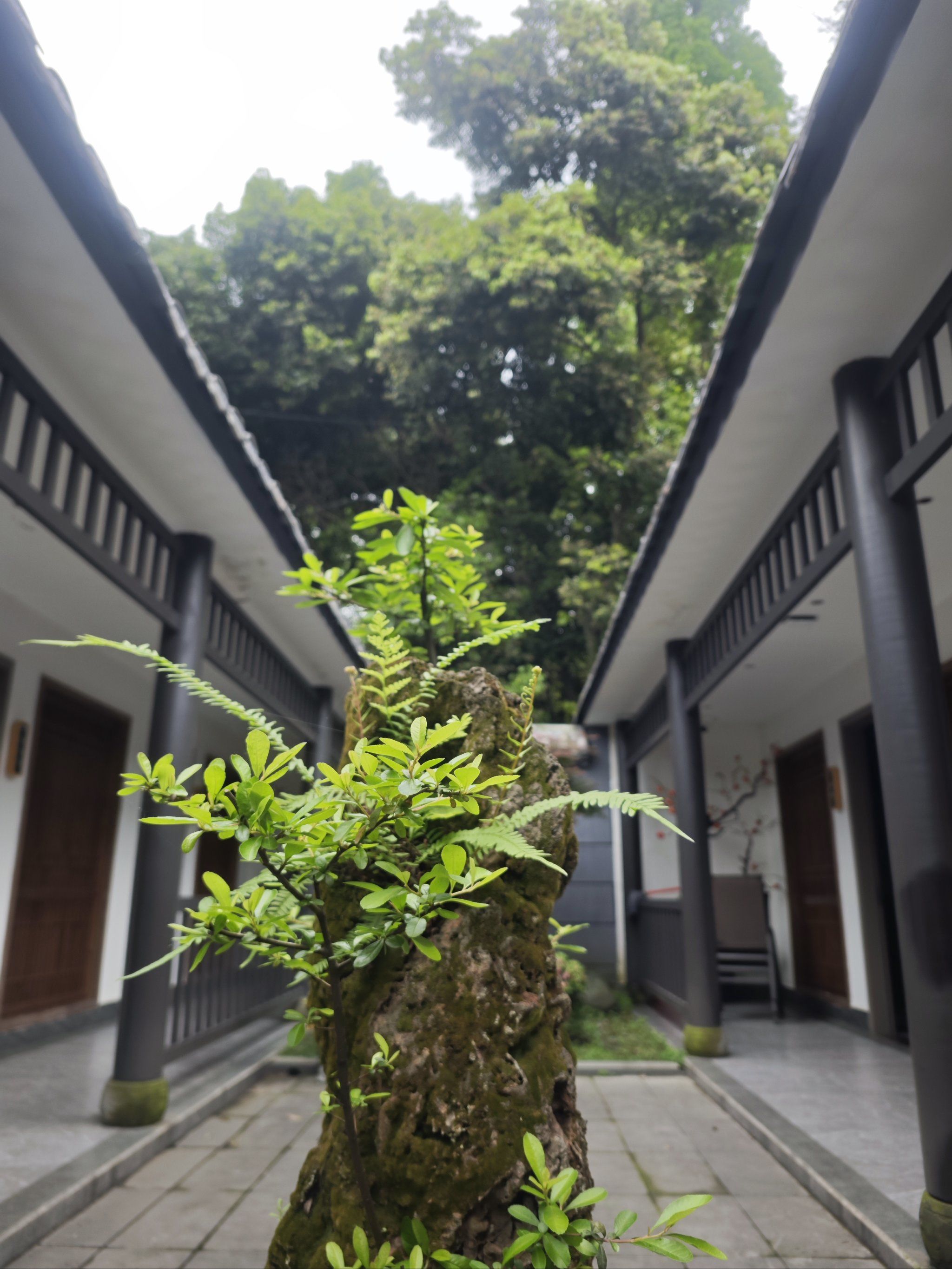 🥳🥳鼎力推荐这家宝藏私房菜!💯