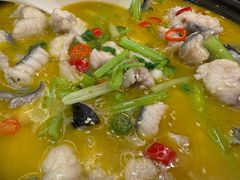 -鲁宴·鲁煨黄河生态大鲤鱼(月坛店)