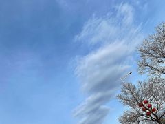 -白水寺森林公园