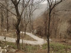 -秦岭终南山世界地质公园翠华山景区