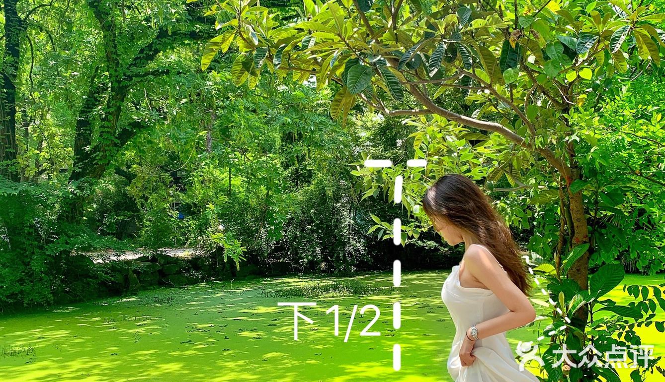 仙女拍照姿势合集