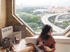 -新加坡丽思卡尔顿美年酒店