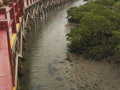 -北海金海湾红树林生态旅游区