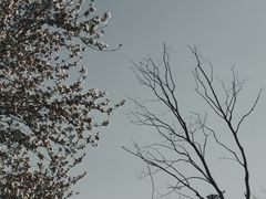 -天鹅湖体育公园