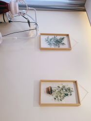 -康颜SPA自然疗愈皮肤管理中心