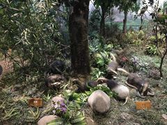 -陕西自然博物馆