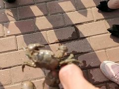 -盘锦红海温泉乐园