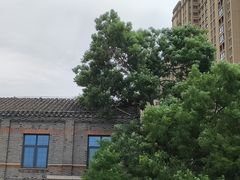 -绿地·中山里