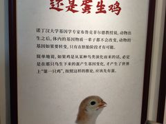 -石家庄洛杉奇食品有限公司(金凤工业园店)