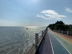 -贡湖湾湿地公园