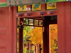 -碑林公园