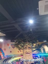 -卡通尼·Safari非洲探索乐园·生日会(金桥国际商业广场店)