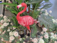 -好利来(新华百货店)