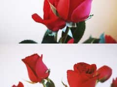-小龙坎老火锅(展览馆店)
