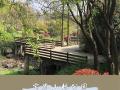 -宝界山林公园