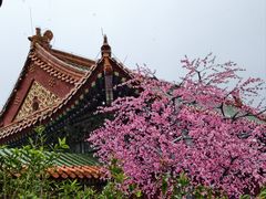 -珠海圆明新园
