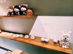 -柴务处·柴犬主题狗咖