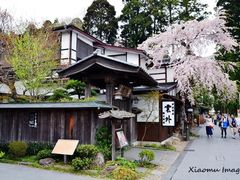 -松岛