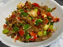 鸭掌筋-壹盏灯(蚂蚁工房店)