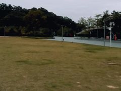 -飞凤山奥体公园