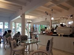 -Fern Forest Cafe