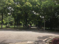 -中南财经政法大学(首义校区)