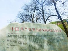 -延安杨家岭革命旧址