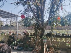 -生宇山珍野生菌汤锅•始于1999(双流古塔店)