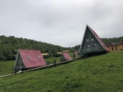 -关山草原