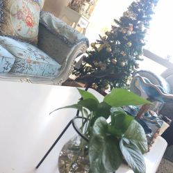 -久匠·纹眉半永久野生眉