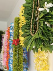 -呼拉汇舞蹈生活馆 Hawaii Hula&Tahiti Dance Studio