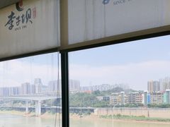 -李子坝梁山鸡(李子坝大鸡哥店)