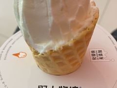 -野人先生现做冰淇淋(北京顺义祥云小镇店)