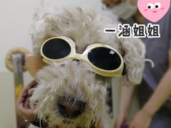-美联众合动物医院·24h转诊中心