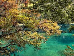 -九寨沟-树正沟