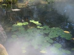 -郑州植物园