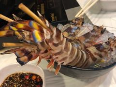 -鲜入围煮花胶鸡海鲜火锅