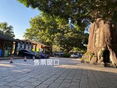 -青青世界