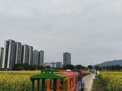 -光明小镇欢乐田园