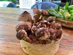 -缘生态云南菜·野生菌庭院餐厅(华侨城店)