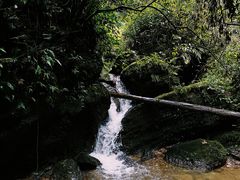 -青城山