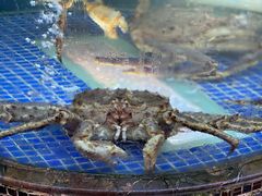 -欢乐海岸美食联盟