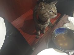 -洪齐林老镇