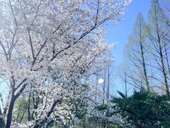 -佛手湖郊野公园