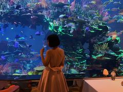 -迪拜帆船酒店海底餐厅