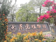 -东莞植物园